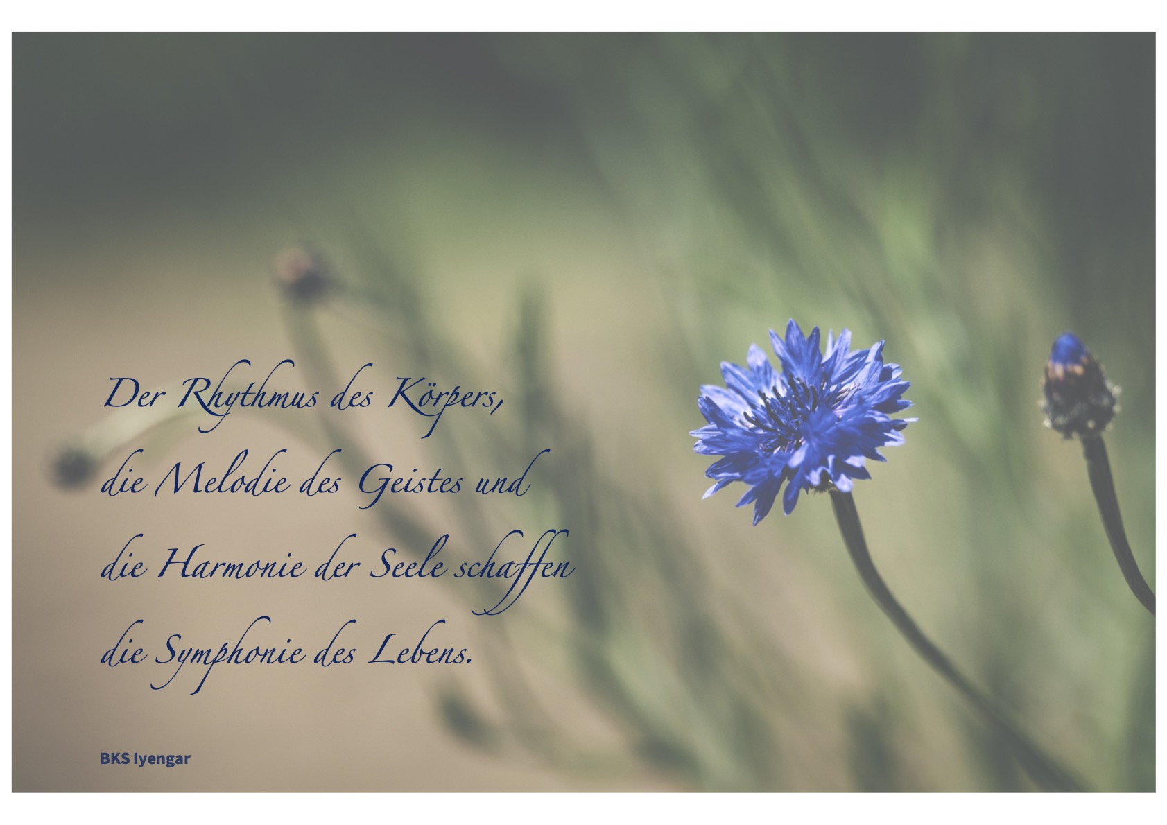 https://fiordaliso.ch/wp-content/uploads/2023/06/startbild-iyengar-Kopie.jpg